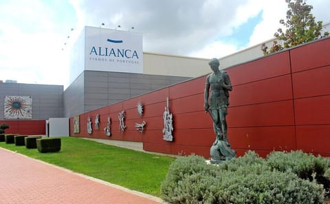 Private Bairrada Wine Tour in Luso and Curia Villages