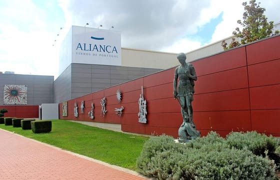 Bairrada Tour (Luso & Curia Villages) – PRIVATE