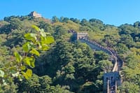 Take Bullet Train to visit Badaling Great Wall with guide ticket. 5