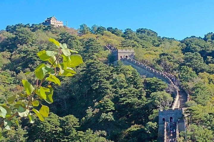 Take Bullet Train to visit Badaling Great Wall with guide ticket. 5