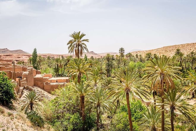 "Figuig The Lost Oasis | Private & Luxury 5