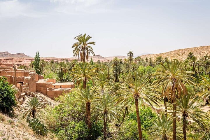 "Figuig The Lost Oasis | Private & Luxury 5