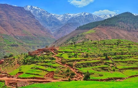 Private Atlas Mountains Day Trip