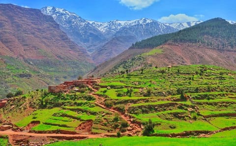 Private Day Trip to the Atlas Mountains from Marrakesh