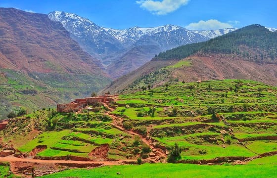 Private Atlas Mountains Day Trip
