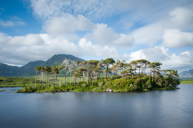 Connemara, Kylemore Abbey OR Connemara National Park Tour Departing from Galway City 3