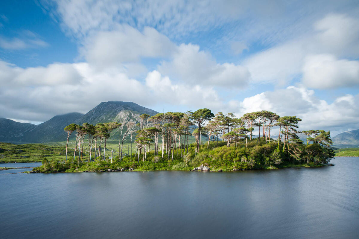 Scenic Connemara & Connemara National Park day tour departing Galway City. Guided. 3