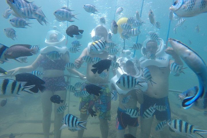Cham Island Sea Trek and Snorkeling by Speedboat