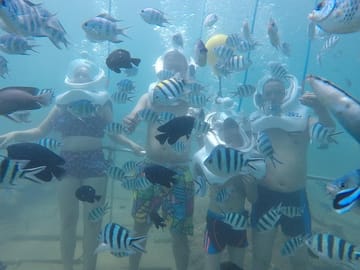 Many Fishes around you