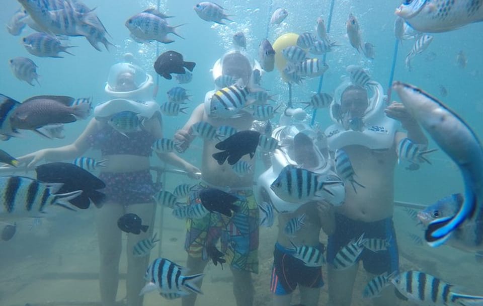 Snorkeling and Sea Trekking Adventure at Cham Island, Da Nang
