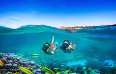 Negril Beach Snorkeling and Boat Ride with Bob Marley Museum Visit