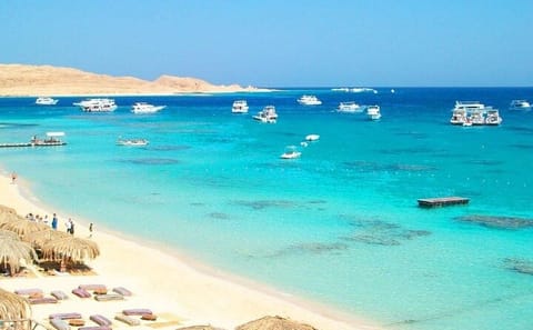 Private Speedboat Tour to Mahmya Island from Hurghada