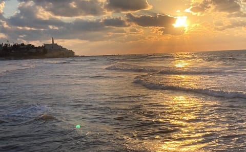 Culinary Tour of Tel Aviv's Carmel Market