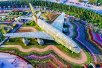 Emirates Flight at Dubai Miracle Garden