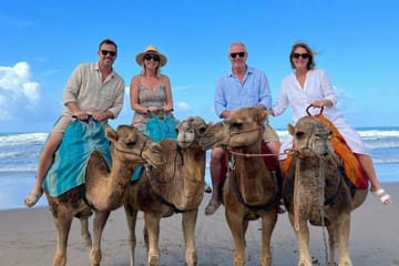 Day Trip from Tangier to Asilah – Private Van & Driver