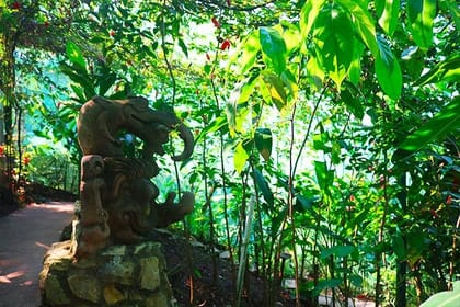 Roatan Mayan & Monkeys Zip-Line Park, Butterfly Sanctuary & Beach Adventure