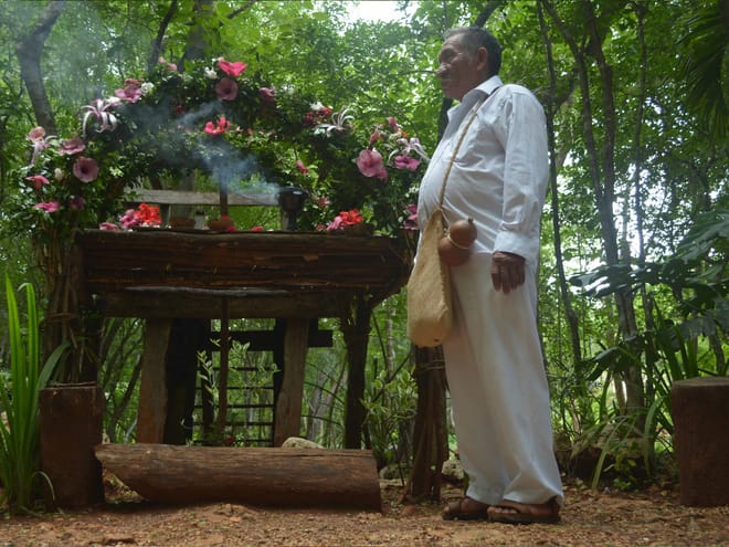 Ek Balam Ruins and Cenote Maya Park Day Trip from Playa del Carmen