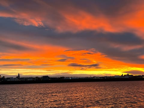 Colorful sunset above the ocean during a whale watching tour in Iceland