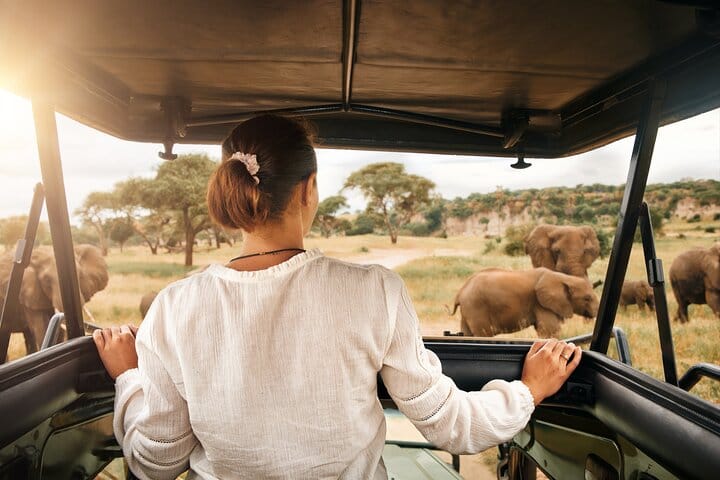 Pilanesberg Safari from Johannesburg