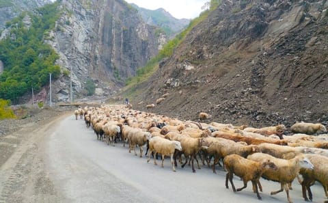 5-Day Private Cultural Tour of Baku and Gobustan, Azerbaijan