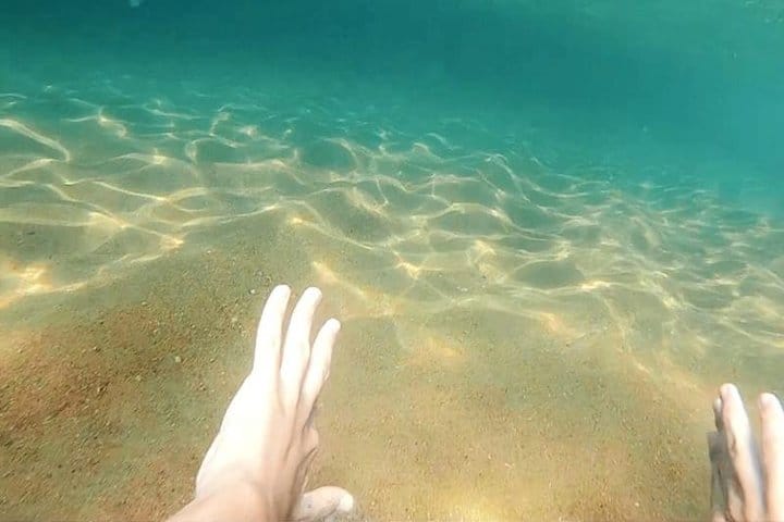 Boat Tour Experience  7