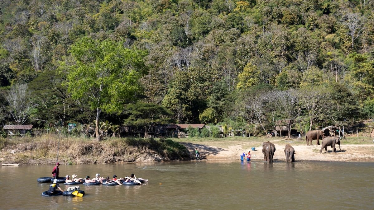 Chiang Mai Half-Day Adventure: River Tubing & Waterfall Slide
