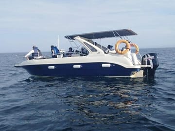 Whale Watching Speed Boat Tour in Mirissa, Sri Lanka