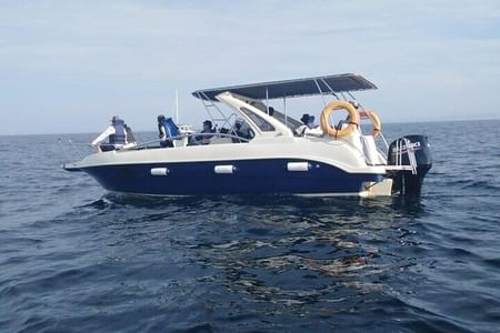 Whale Watching in Speed Boat in Mirissa