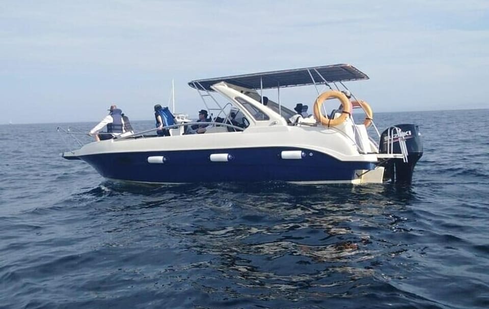 Whale Watching in Speed Boat in Mirissa