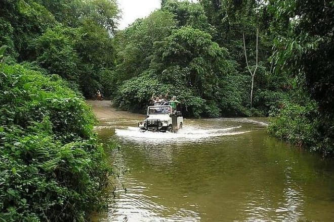 Ilhabela: A Real Paradise In The Coast Of São Paulo – 3-Day Private Tour 9