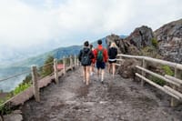 Private Half-Day Sightseeing Tour of Vesuvius National Park 3