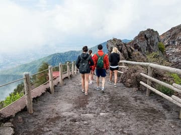 Private Half-Day Tour of Vesuvius National Park from Naples