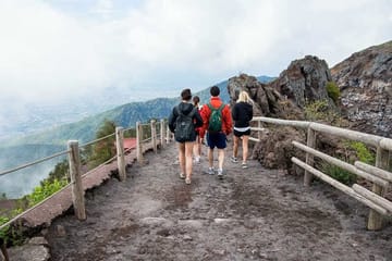 Private Half-Day Tour of Vesuvius National Park from Naples