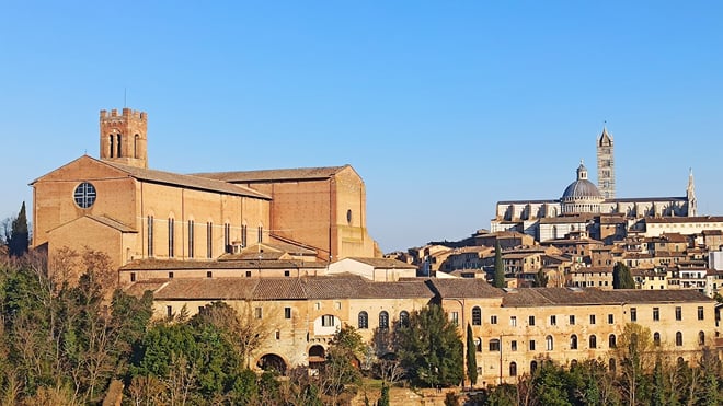  Visit Siena and the sweet hills of Chianti - Photo 5