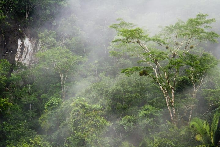 Scenic trails through tropical forest