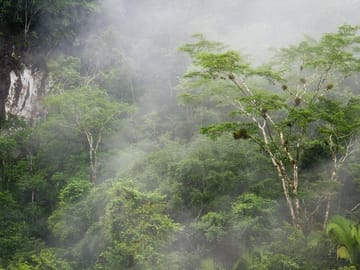 TN2-Into the Wild After Dark: A Nocturnal Hike in Belize’s Jaguar Preserve