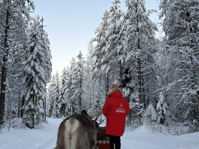 Vieraile Taava Reindeer Farmilla – aito poroelämys Rovaniemellä