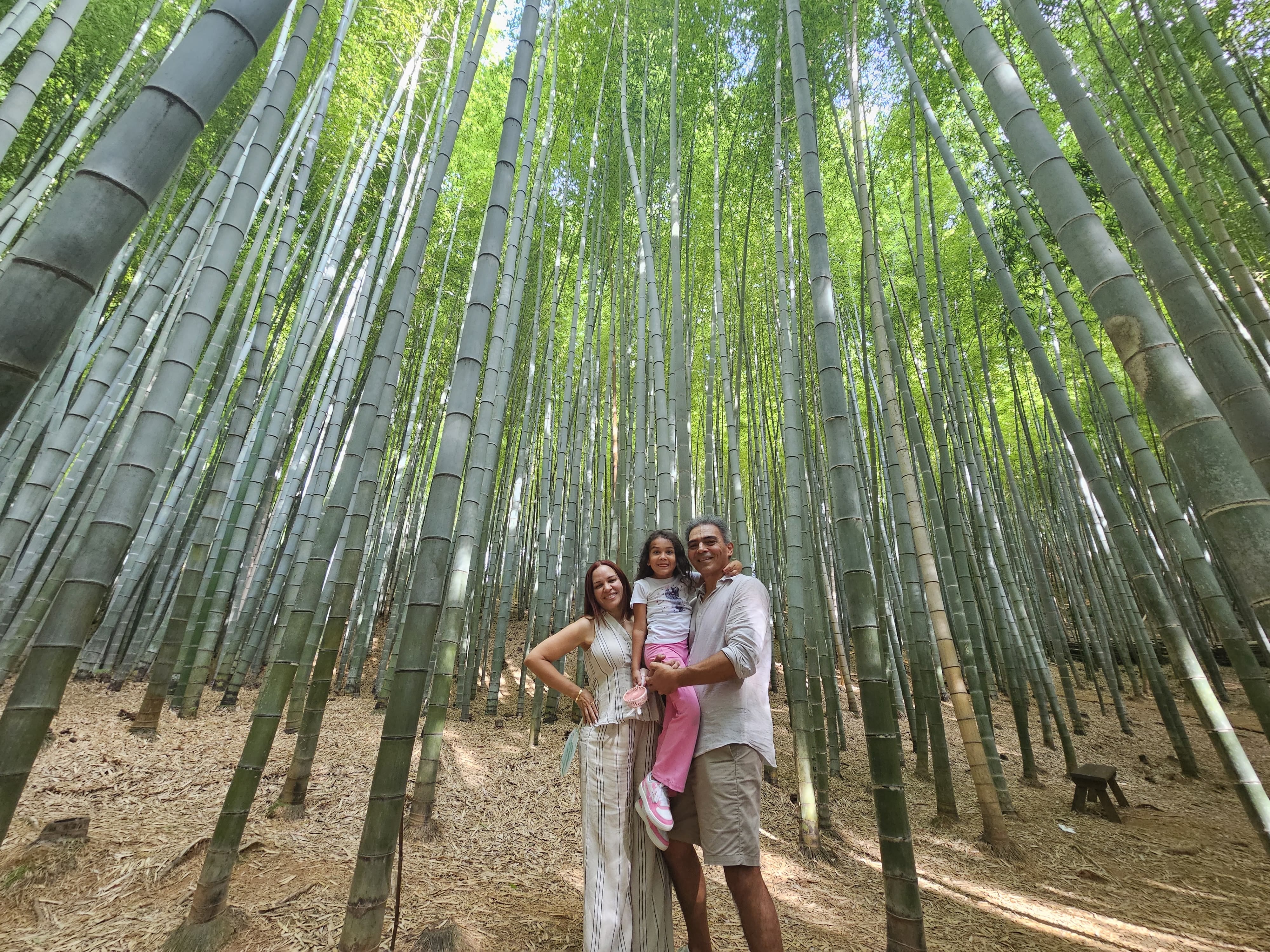 A family of three posing together among the tall bamboo trees of Ahopsan Forest.
