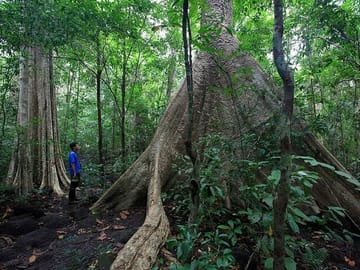 2-Day ATV Adventure in Cat Tien National Park from Ho Chi Minh City