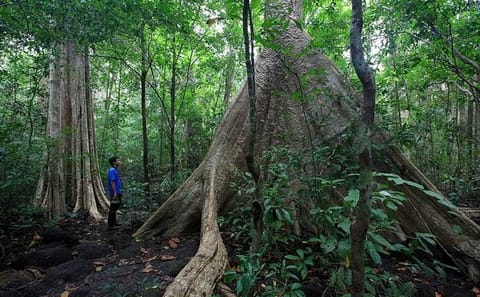 2-Day ATV Adventure in Cat Tien National Park from Ho Chi Minh City