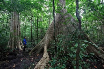 2-Day ATV Adventure in Cat Tien National Park from Ho Chi Minh City