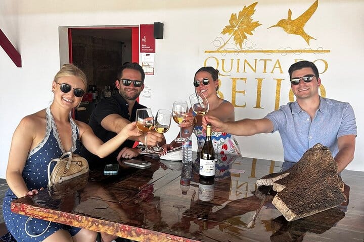 DOURO VALLEY: Premium Wine Tour, Lunch at Winery & Private Cruise