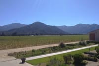 Private Casa Blanca Valley Wine Experience from Santiago 6