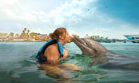 Isla Mujeres: Dolphin Royal Connection 8