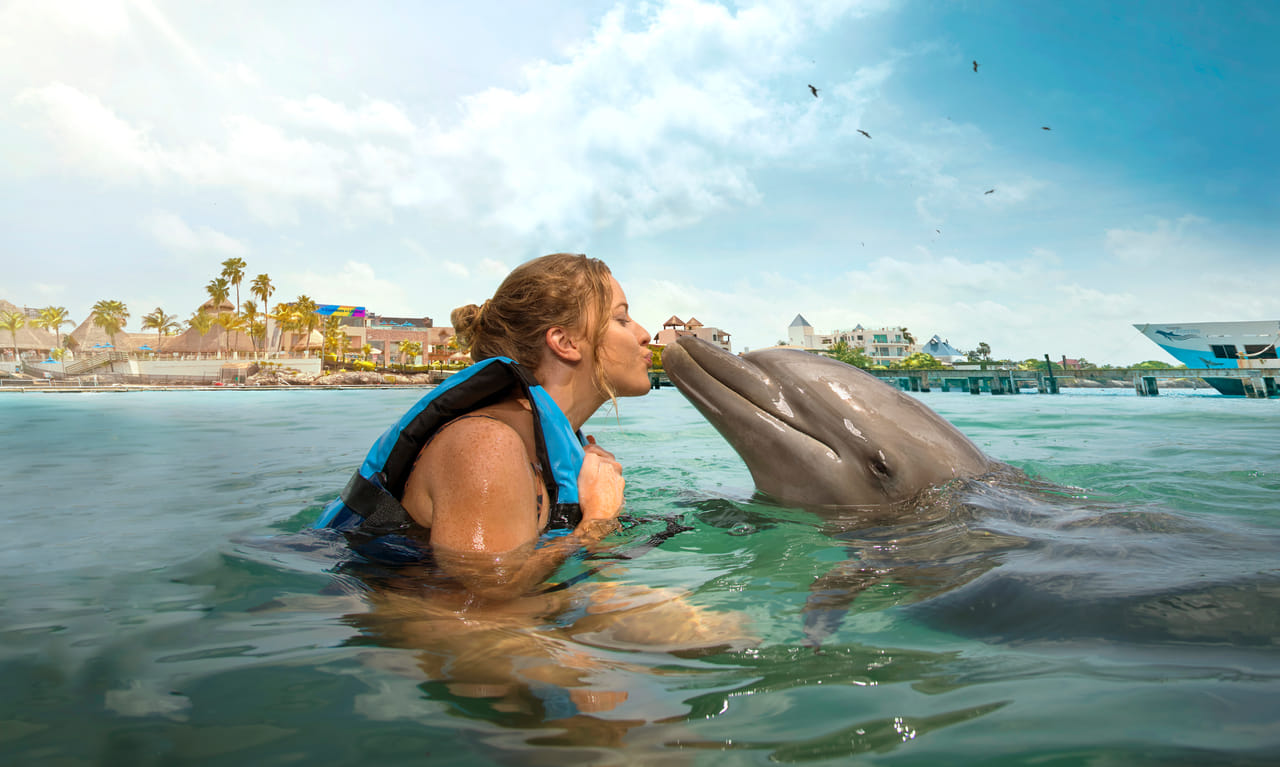 Isla Mujeres: Dolphin Royal Connection 8