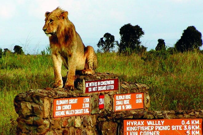 Nairobi National Park game drive