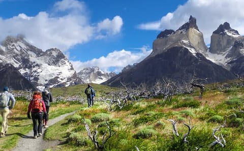 4-Day Trekking Tour in Torres del Paine from Puerto Natales