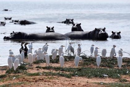 5days: Hell’s Gate, Lake Naivasha, Lake Nakuru & Masai Mara Camping Safari