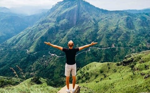 Ella Day Tour with Tea Factory Visit from Colombo or Negombo