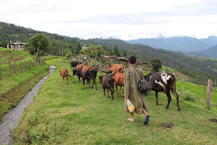 Magical Bhutan Cultural Tour: Temples, Hikes & Scenic Valleys